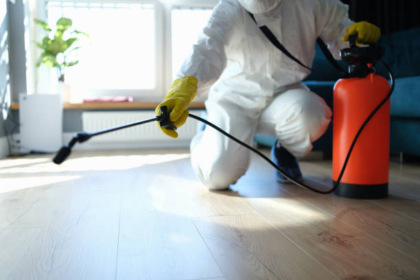 Reliable Biohazard contractor in Silver Lake, FL by Crime Scene Cleaner Online